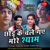 About Chhod Ke Chale Gaye More Shyam Song