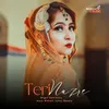 About Teri Nazre Song