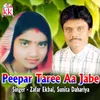 About Peepar Taree Aa Jabe Song