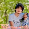 About Tera Muhulla Me Aagi Song