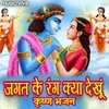 About Jagat Ke Rang Kya Dekhun - Krishna Bhajan Song