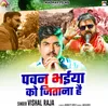 About Pawan Bhaiya Ko Jitana Hai Song