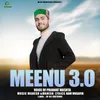 About Meenu 3.0 Song