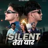 About Silent Tera Yaar Song