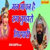 About Man Bhawan Hai Roop Tumharo Girdhaari Song