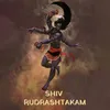 About Shiv Rudrashtakam Song