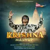 About Krishna Mashup Song