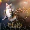 Purrfect Party Reprise