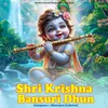About Shri Krishna Bansuri Dhun Song