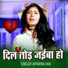 About Dil Tod Jaiba Ho Song