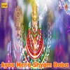 About Ayaa Mera Shyam Baba Song
