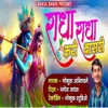 About Radha Radha Kari Basari Song