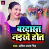 About Bardast Naikhe Hot Song