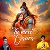 About Tu Meri Gaura Song