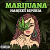 About Marijuana Song