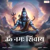 Om Namaha Shivaya