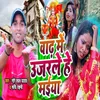 About Wadh Me Ujarle He Maiya Song