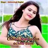 About Chhori Tero joban achho aam Song