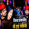 About Jila Pratapgadh Ke Hai Rangila Song