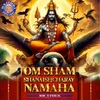 About Om Sham Shanaishcharay Namaha 108 Times Song