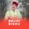 Baugi Bishu