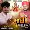 About Sadhi Maro Rom Song