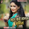 About Tahar Fule Lagal Fulawna Song