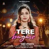 About Tere Bagair Song