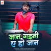 About Jaan Gaini Ae Ho Jaan Song