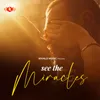 About See The Miracles Song