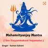 About Om Trayambakam Yajamahe Song