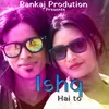 About Ishq Hai To Song