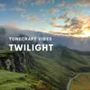About Twilight Song