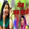 About Jija Aajya Khet Me Song