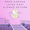 About Prem Karana Layak Nahi  (Slow Reveb) Song