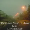 About Rani Mana Zindgi Ni Majak Karu (Slow Reveb) Song