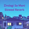 About Zindagi Sa Mani (Slow Reveb) Song