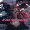 brazil funk (slowed)