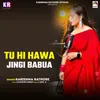 About Tu Hi Hawa Jingi Babua Song