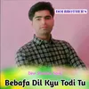 About Bebafa Dil Kyu Todi Tu Song