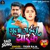 About Bhula Gailu Yaar Ke Song