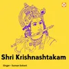 About Shri Krishnashtakam Song