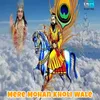 About Mere Mohan Kholi Wale Song
