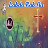 About Labda Rab Nu Song