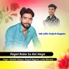 About Pagal Roba Su Kai Hego Song