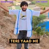 About Teri Yaad Me Song