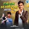 About Tenge Tenge Bhangoriya Aaya Song