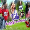 Dila Ke Todi Ke Sath Maro Chodi Ke