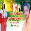 About Pyare Maseha Darshan Dikhaja Song