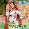 About Chaal Meri Mastani Song